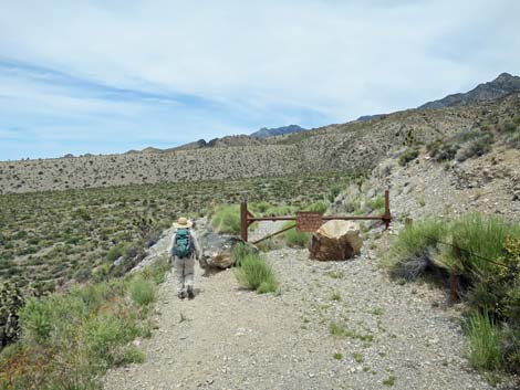 Hidden Forest Trail