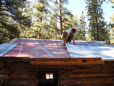 Hidden Forest Cabin Restoration