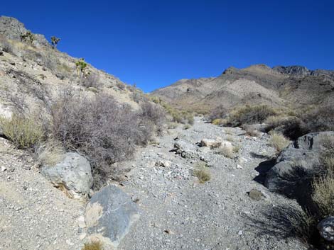 Joe May Canyon Guzzler