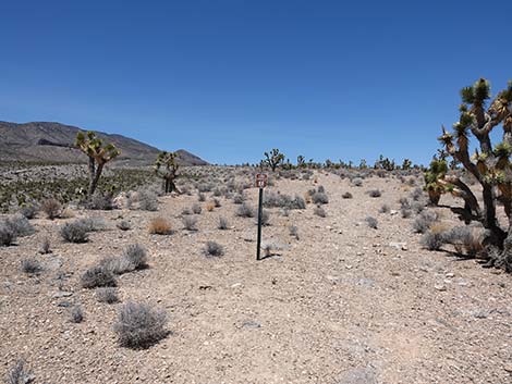 Long Canyon Trailhead