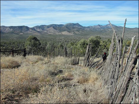 Mormon Well