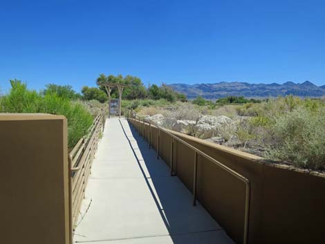 Coyote Loop Trail