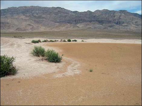 Desert Dry Lake Corral