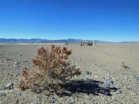 Desert Dry Lake Corral