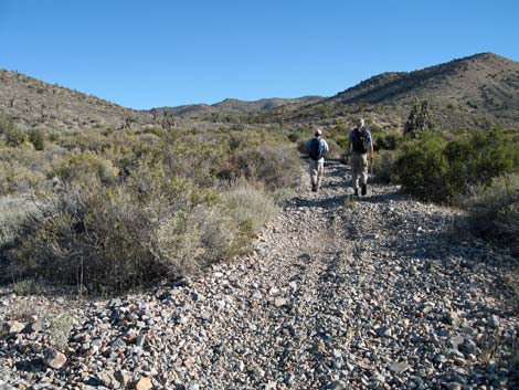 Quartzite Mountain