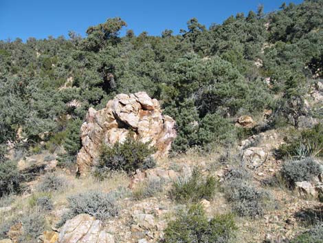 Quartzite Mountain