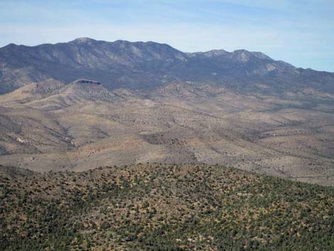 Quartzite Mountain