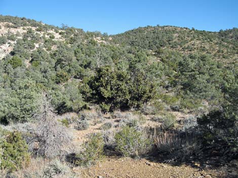 Quartzite Mountain