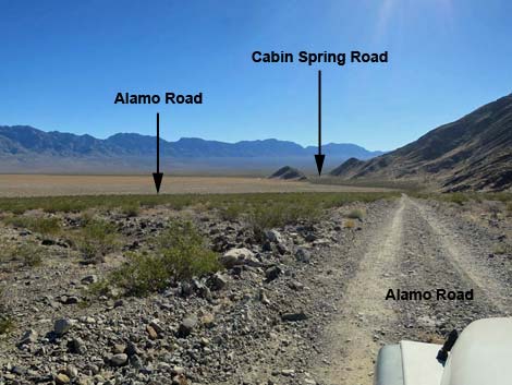 Alamo Road