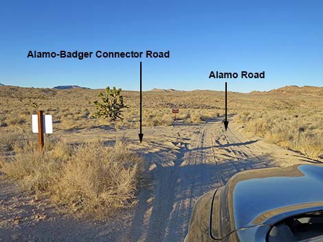 Alamo Road