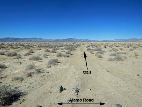 Alamo Road