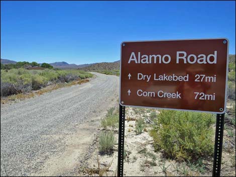 Alamo Road