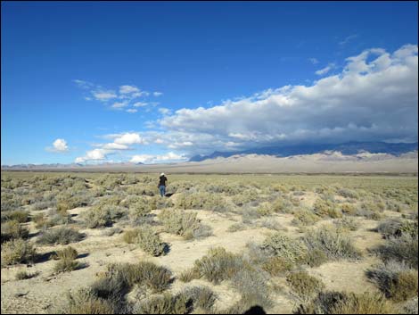 Corn Creek Road