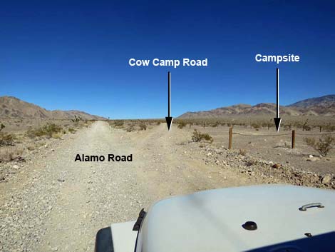 Cow Camp Road