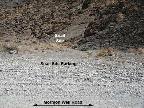 Mormon Well Road