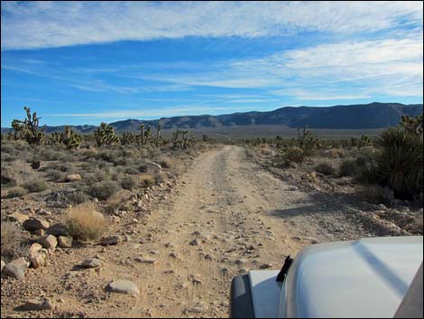 Mormon Well Road