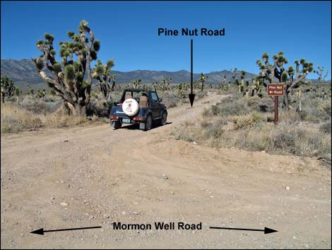 Mormon Well Road