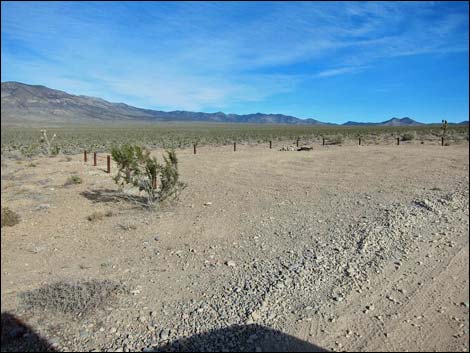 Mormon Well Road