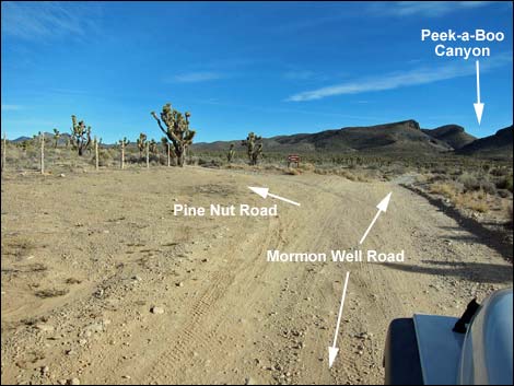 Mormon Well Road