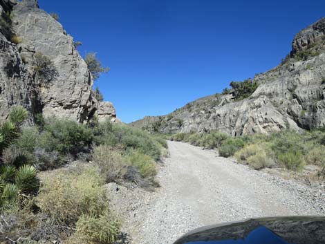 Mormon Well Road