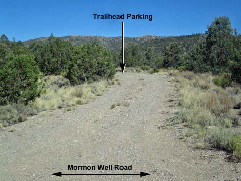 Mormon Well Road