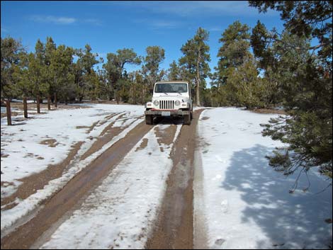 Mormon Well Road