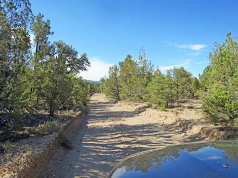 Mormon Well Road