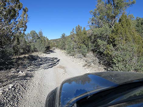 Mormon Well Road