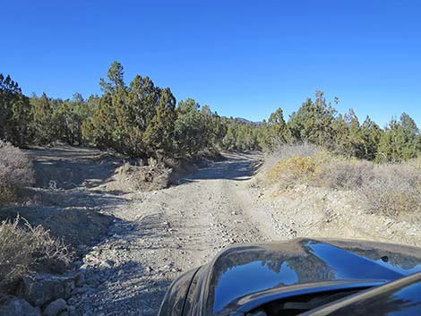 Mormon Well Road