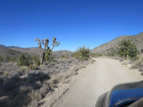 Mormon Well Road