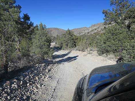 Mormon Well Road