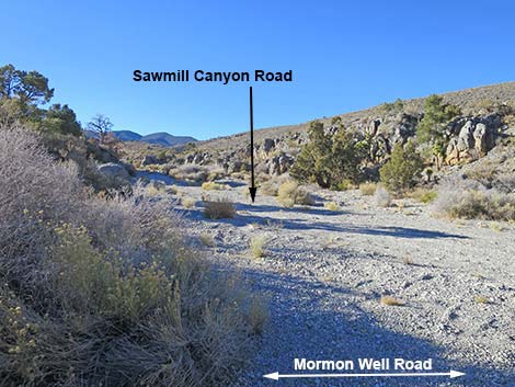 Mormon Well Road