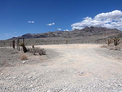 Mormon Well Road