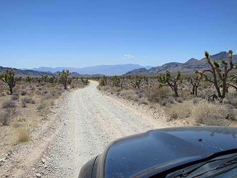 Mormon Well Road