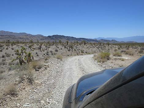 Mormon Well Road