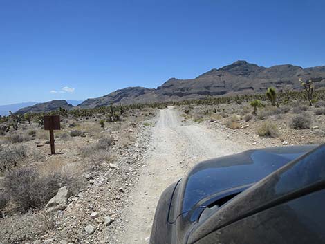 Mormon Well Road