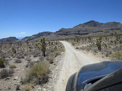 Mormon Well Road