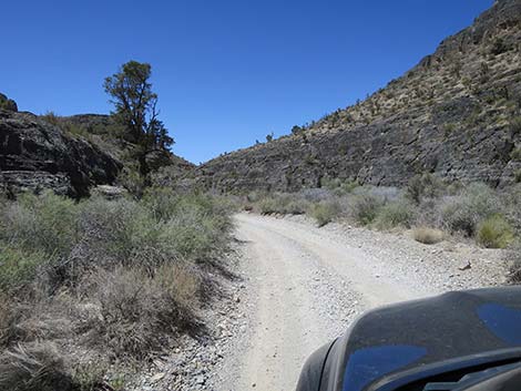 Mormon Well Road