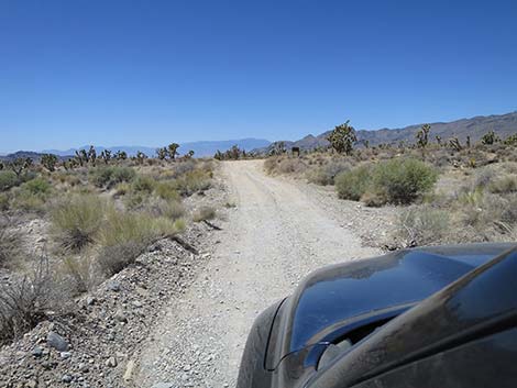 Mormon Well Road