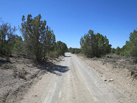 Mormon Well Road