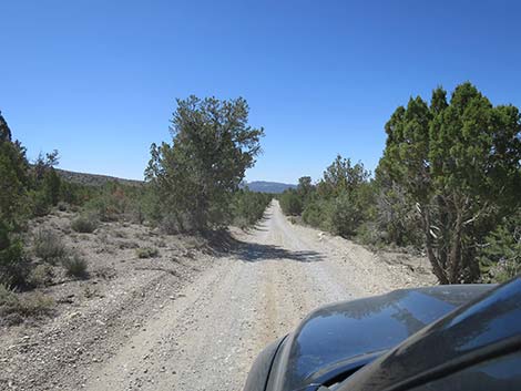 Mormon Well Road