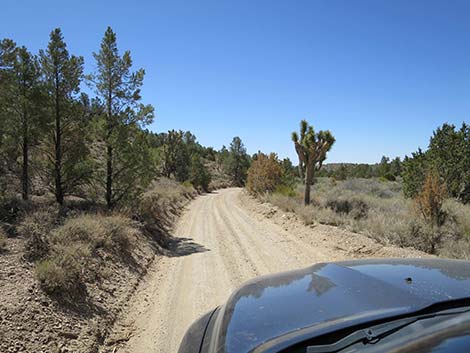 Mormon Well Road