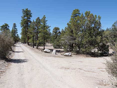 Mormon Well Road