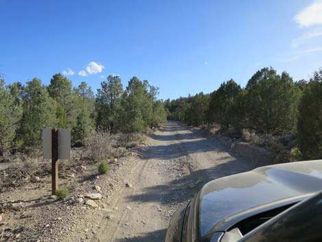 Mormon Well Road