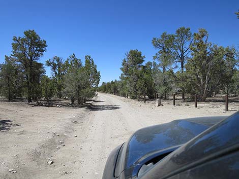 Mormon Well Road