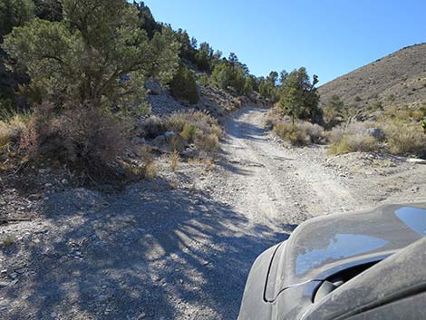 Mormon Well Road