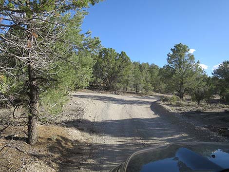 Mormon Well Road