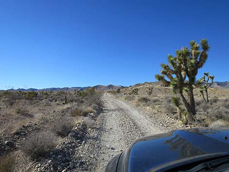 Mormon Well Road