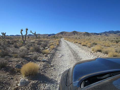 Mormon Well Road