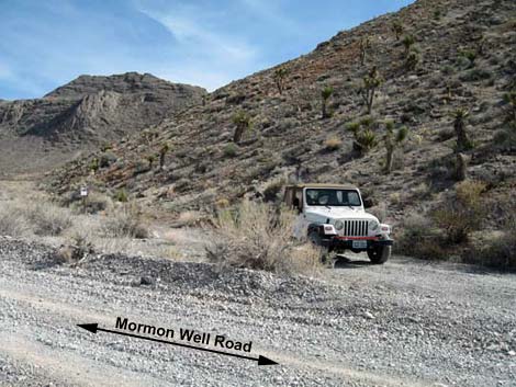 Yucca Gap Canyon 2